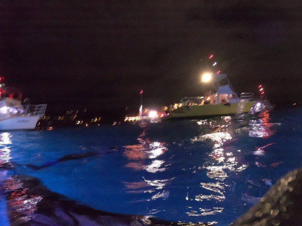 swimming at night with manta rays on Hawaii Island