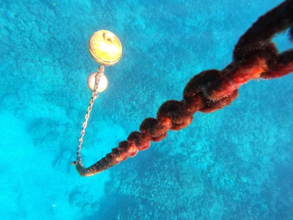 snorkel swim under water buoy