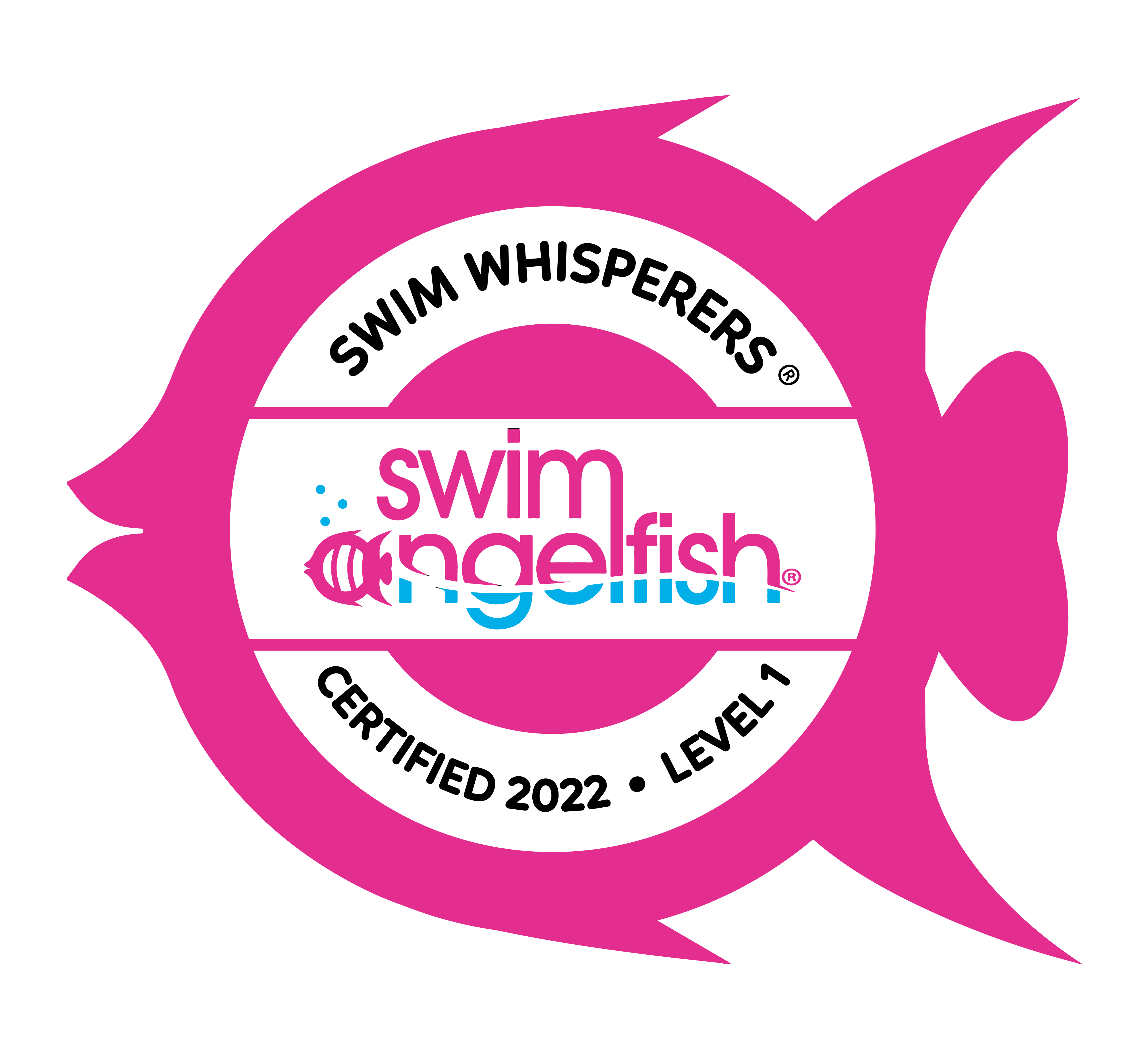 swim whisperers swim training