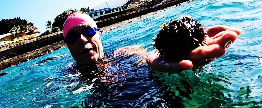 Athlete holding a sea urchin during ironman swim lessons and training.
