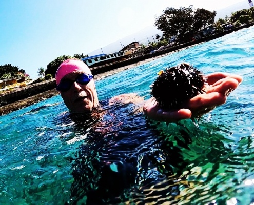 Athlete holding a sea urchin during ironman swim lessons and training.