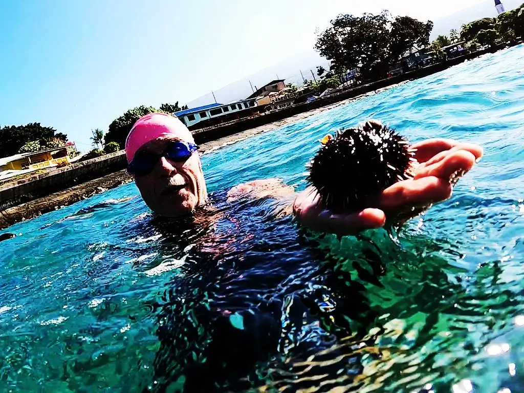 Athlete holding a sea urchin during ironman swim lessons and training.